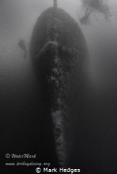 Taken from the sea bed of the hms scylla, visibility is o... by Mark Hedges 